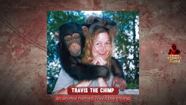 10 Disturbing Interviews With School Shooters смотреть онлайн