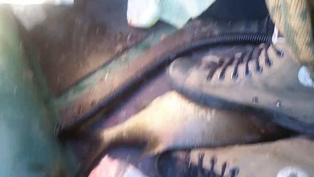 Ловим Леща смотреть онлайн