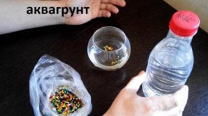 Водные шарики для декора или аква грунт для домашних растений