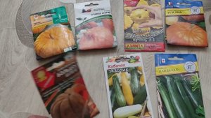 Посев арбузов и дынь.Сеем тыквы, патиссоны и кабачки.В чем замачиваю семена для хорошего прорастани