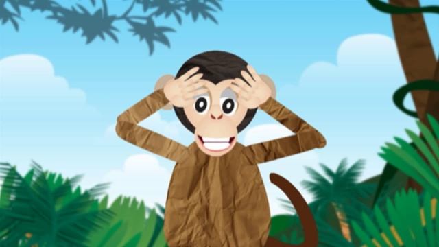 Какие животные спят днем и активны ночью? Киндер Зу
