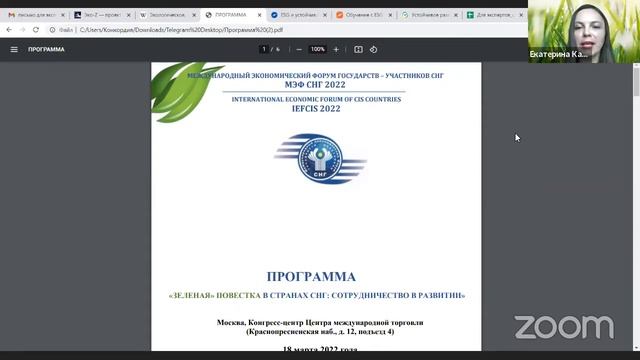 Онлайн-нетворкинг «Как устоять «зеленому» бизнесу»