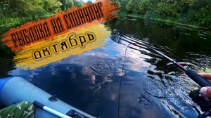ВЫШЕЛ НА ВЕЧЕРНЕЙ ЗОРЬКЕ ПОЛОВИТЬ ЩУКУ НА СПИННИНГ