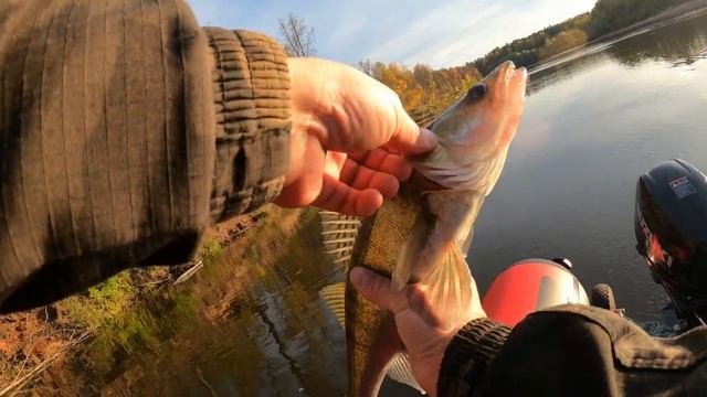 ?НЕ ОЖИДАЛ ТАКОГО РЕЗУЛЬТАТА РЫБАЛКА НА КЛЯЗЬМЕ ЛОВЛЯ СУДАКА ОСЕНЬЮ СПИННИНГ НА ЛОДКЕ смотреть онлайн