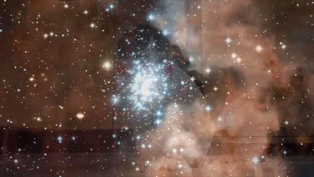 023 Истории о животных
