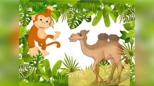 Загадки о животных жарких стран