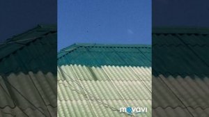 Очистка и покраска крыши (шифер)