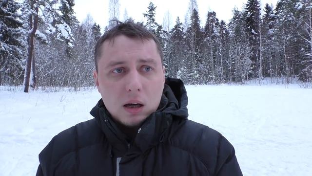 ВЗРОСЛЫЙ МАЛАМУТ ◆ Правда и мифы смотреть онлайн