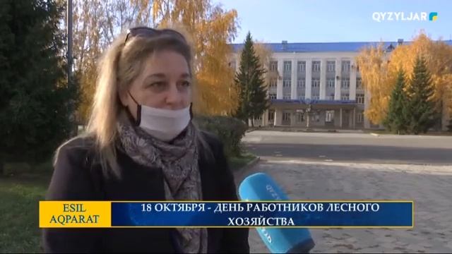 18 ОКТЯБРЯ - ДЕНЬ РАБОТНИКОВ ЛЕСНОГО ХОЗЯЙСТВА смотреть онлайн