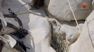 Экспедиция со Стивом Бэкшоллом. Анонс. Канал Телепутешествия.