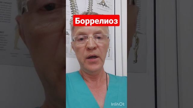 укус клеща Как распознать Боррелиоз