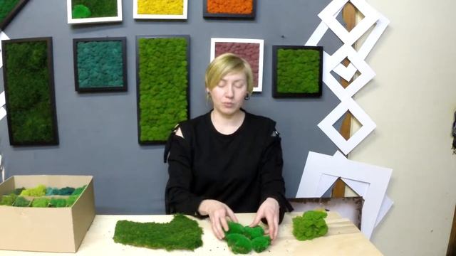 Виды стабилизированного мха. мох пласт. мох кочка. мох ягель