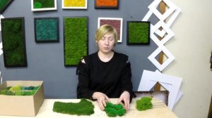 Виды стабилизированного мха. мох пласт. мох кочка. мох ягель