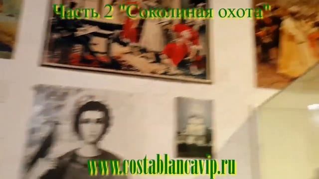Соколиная охота в замке Хоенверфен Festung Hohenwerfen CostablancaVIP