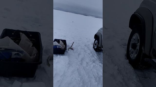 Глухозимье. озеро Имантау. смотреть онлайн