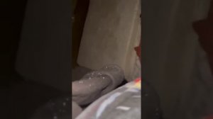 В Санкт Петербурге девушка на глазах прыгнула в прорубь на крещение на глазах мужа и детей и утонул
