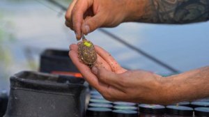 Карповые насадки ZEMEX / Приманки для ловли карпа / Ловля на Flat Method Feeder