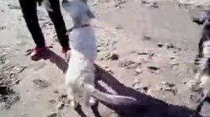 Вижу тень наискосок