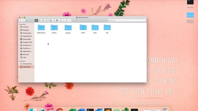 How to uninstall anaconda from Mac смотреть онлайн