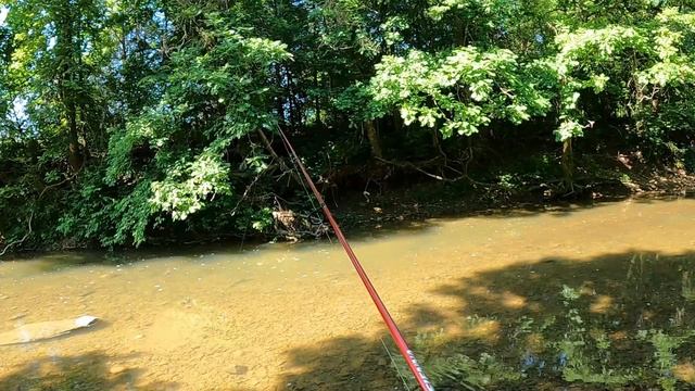 A Lazy Creek Fishing Day with Soft Plastic Crickets and a Rapala