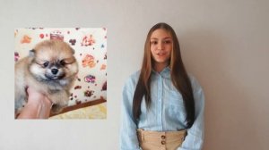 КАК УГОВОРИТЬ РОДИТЕЛЕЙ ЗАВЕСТИ СОБАКУ? ИСТОРИЯ МОЕГО ОПЫТА