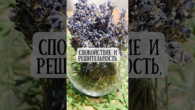 МагияСлов✨