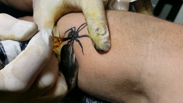 Spider Tattoo смотреть онлайн