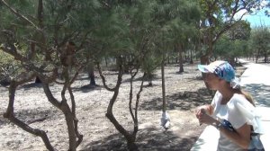 Остров обезьян - Вьетнам Нячанг, Monkey Island