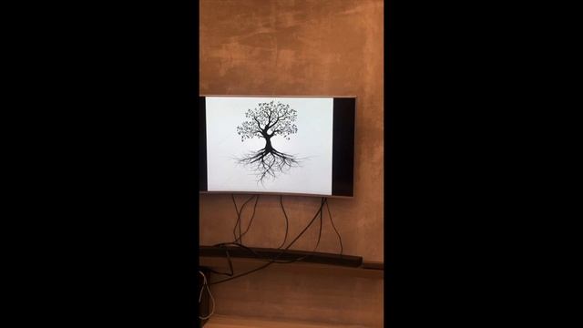 Лекция по Духовному Выравниванию, с Александром и Полиной Романовыми. Москва, декабрь 2019
