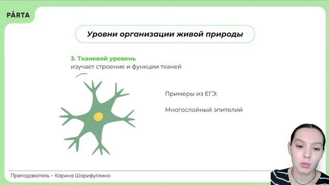 Вся теория для задания №1 | Биология ЕГЭ 2024 | PARTA