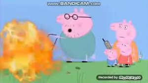 Свинья обосралась