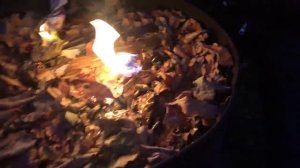 Осень на даче! Сжигаем листву