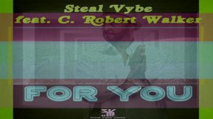 Steal Vybe Feat C. Robert Walker   -  "For You"   (Chris Forman's Main Mix)