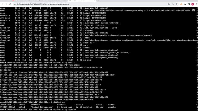 Deep dive in Docker Cgroups (Unwrapping Docker)