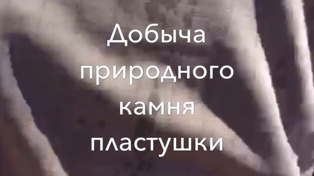Натуральный камень пластушка