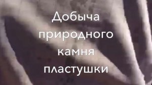 Натуральный камень пластушка