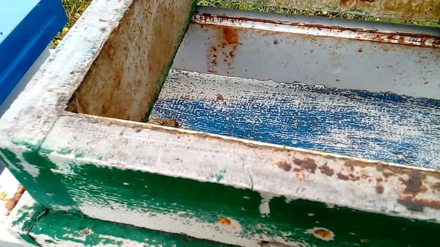 77 дней матка в изоляторе! смотреть онлайн