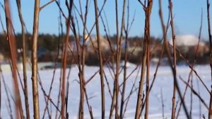 тест драйв Джип Гранд Чероки _ Jeep Grand Cherokee 2014