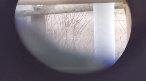 Leica Rangemaster CRF 2800.COM