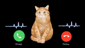 ?APPLE? RINGTONE IPHONE #pro #iphone #cat EP.25