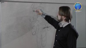 Работа с фантомом человека, как взаимодействовать с фантомом человека / Александр Панфилов / Альтен