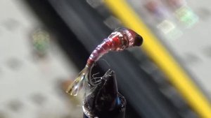 Мушки: малек, муравей, нимфа...