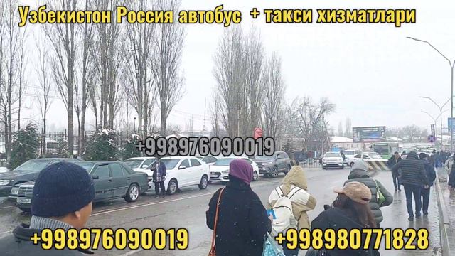 Ташкент Москва автобус Ташкент Санкт-Петербург автобус Ташкент Краснодар смотреть онлайн