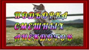 Анекдоты! Подборка коротких смешных анекдотов! Выпуск 3.mp4