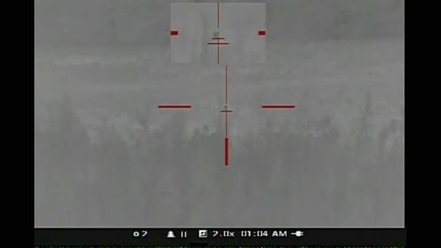 Coyote No. 8 Hunting 1st Confirmed Gunsight Video Pulsar APEX XD75A Thermal Scope смотреть онлайн