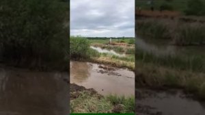 Mudracing на RZR. Квадроцикл  РМ 800