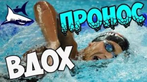 Разбор техники плавания кролем.  Выявление основных и грубых ошибок.  Упражнения для исправления