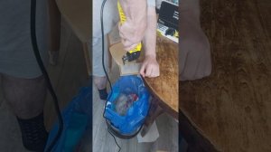 Многофункциональный инструмент или реноватор Kolner KMT300VN. Проверка работоспособности.