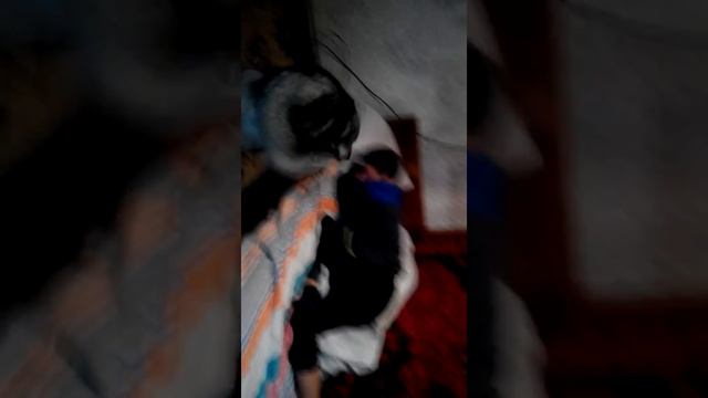 Как быстро разбудить Диму смотреть онлайн