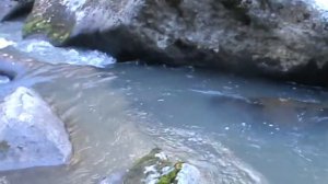 По камушкам речка бежит